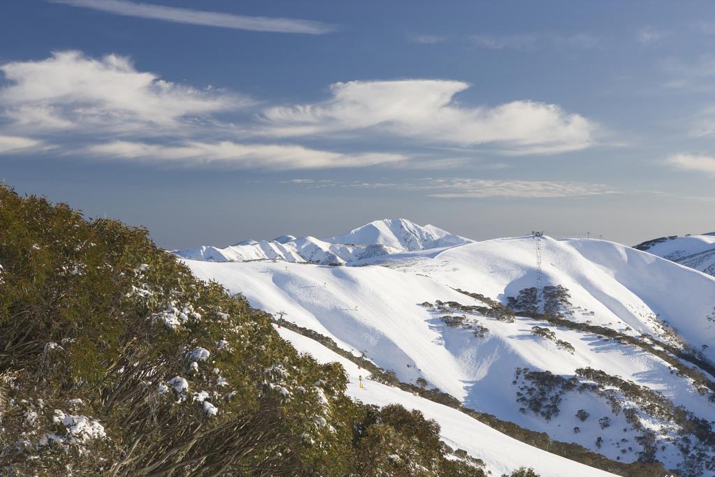 White Crystal Apartments Mount Hotham Bilik gambar